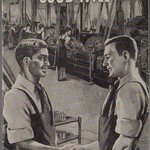 Bevin Trainees Essays Cover